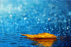 Petrichor: The smell of nature or chemistry